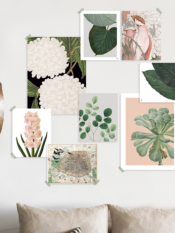 Lámina Cacatúas Rosas - Imagen 2