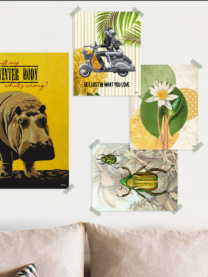 Lámina Nenúfar - Imagen 2