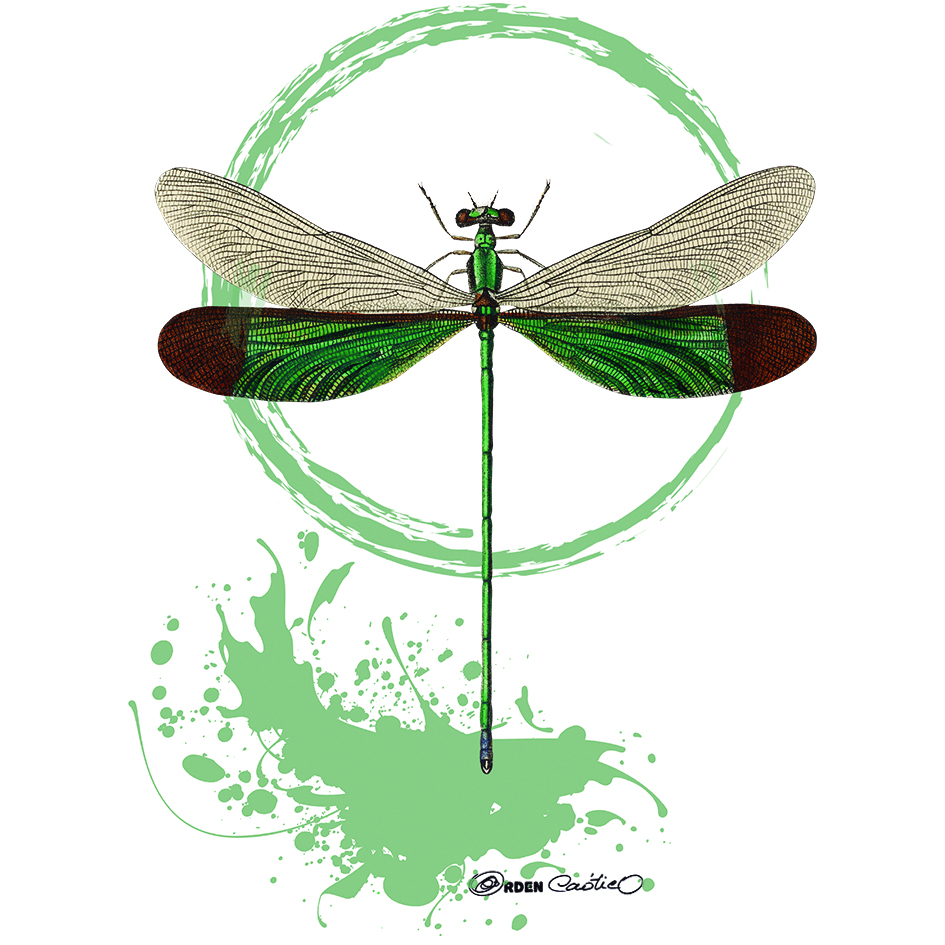 Taza Libélula de Metal - Imagen 2