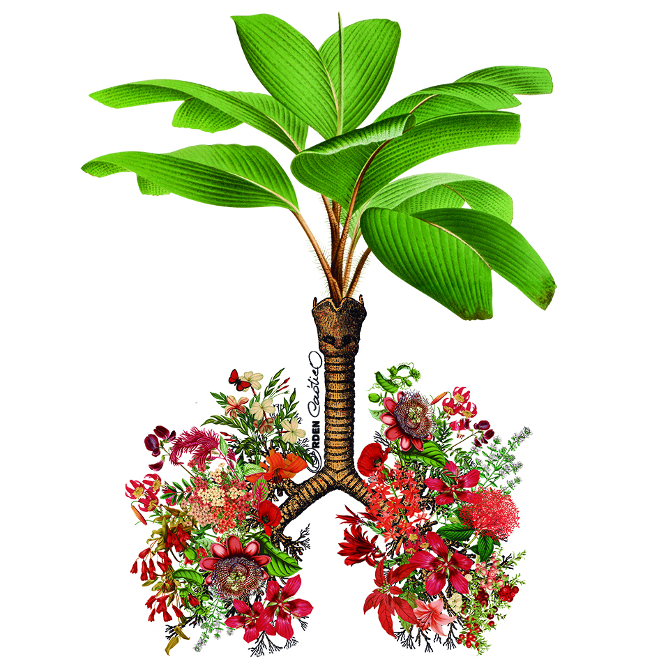 Taza Pulmones Flores - Imagen 2